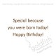 Special Day